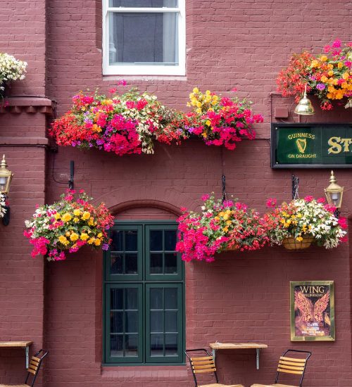 A pub in south London with flowers and timber windows