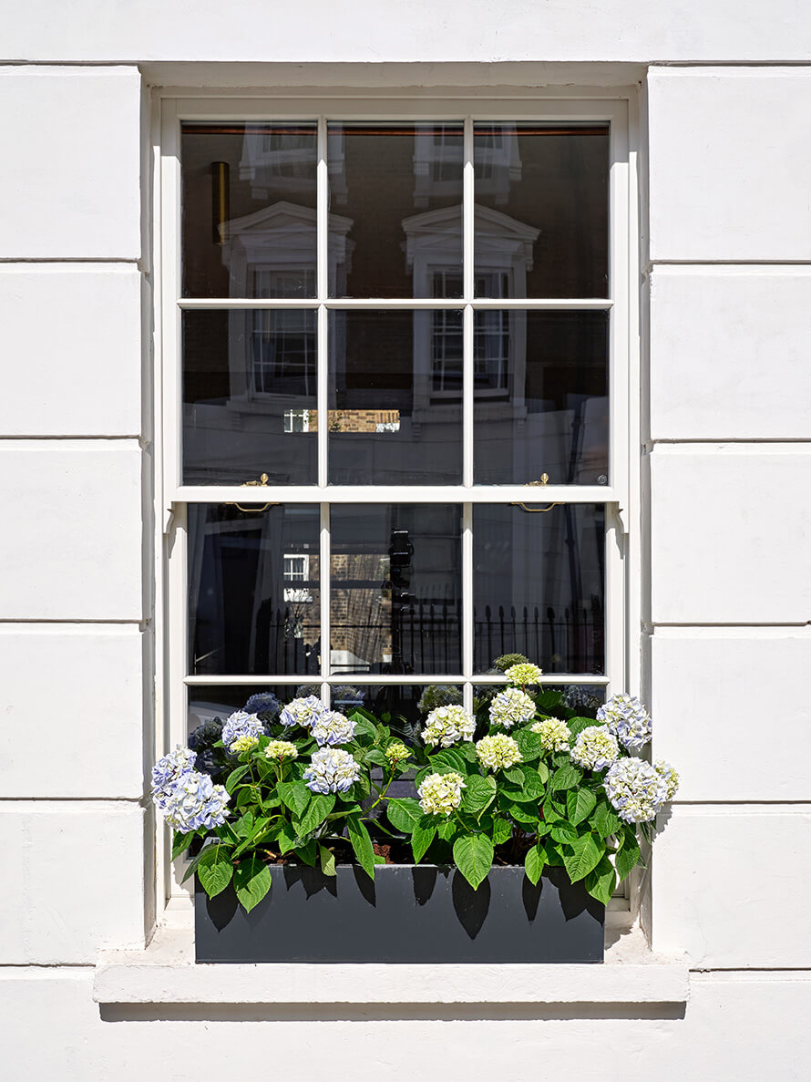 A sash window in Chiswick
