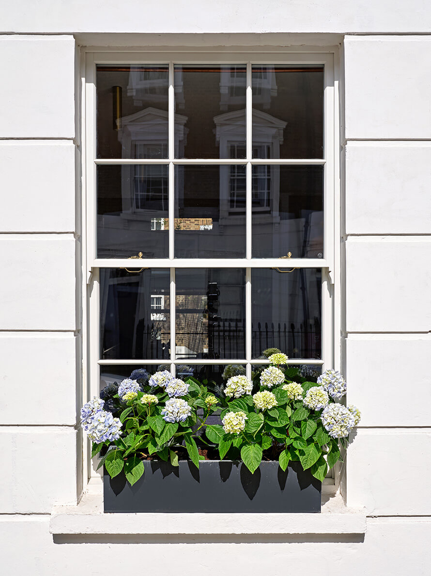 A sash window in Chiswick